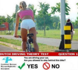 dutch-driving-test3.jpg