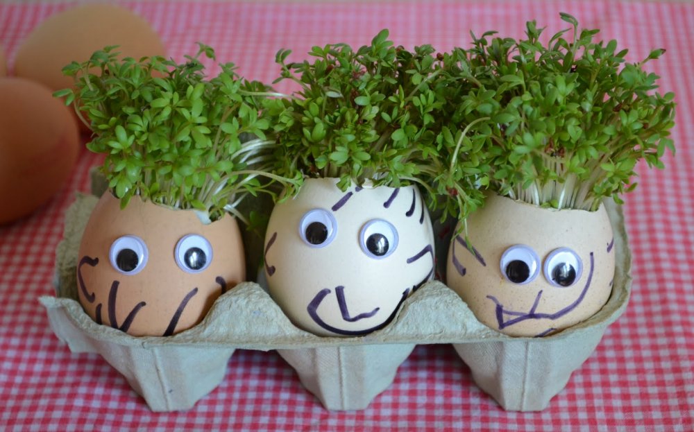 cress seed.JPG