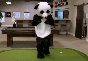 4274A844-AAED-4B66-8D32-9330F480A395.gif.28b01c49bbe29e758a4f1a19c4b66941.gif