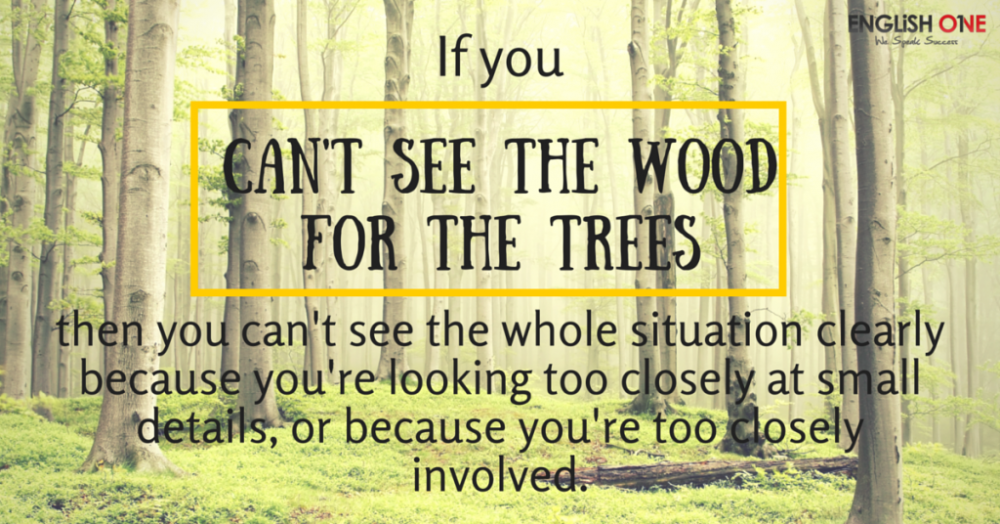 If-you-1024x536.png
