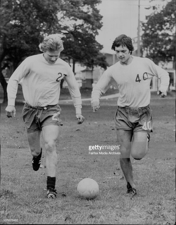 Wilkins brothers training.jpg
