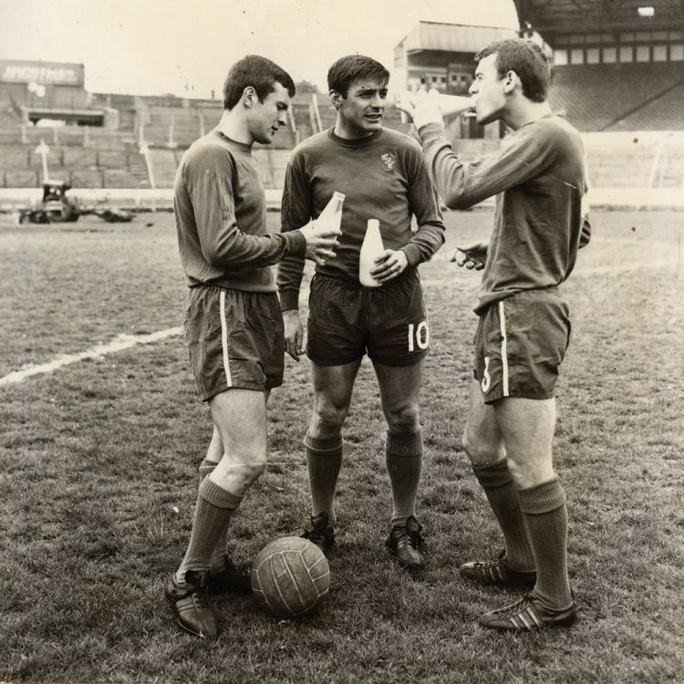 1967-Chelsea-football-team-TDC.jpg