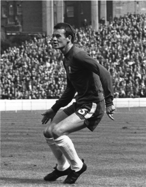 Eddie-Mccreadie.jpg