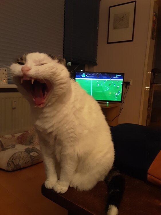 20201228_201751.thumb.jpg.264a307959c3607b9846ef320b80752f.jpg