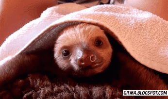 6a0d5-fadaad.gif.1e8001edd7b9c8ed29b16fc4b97fa7d6.gif