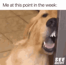 image.gif.cd725796fea0af0236976d75717b4629.gif