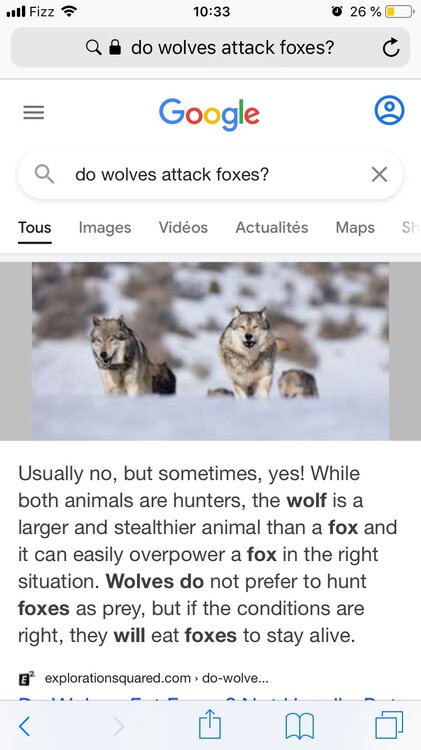 image.thumb.jpeg.2ba6b957f4ac5f6b38c3ff0cf83c2796.jpeg