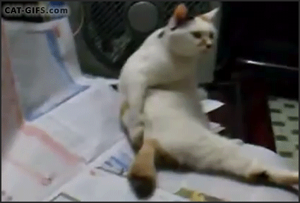 image.gif.ba1e30351d656beb8e6cbfbebfe3c9d2.gif