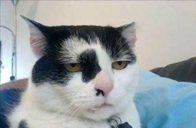 image.jpeg.33241e433bb0c6d2ebf29d915da22b58.jpeg
