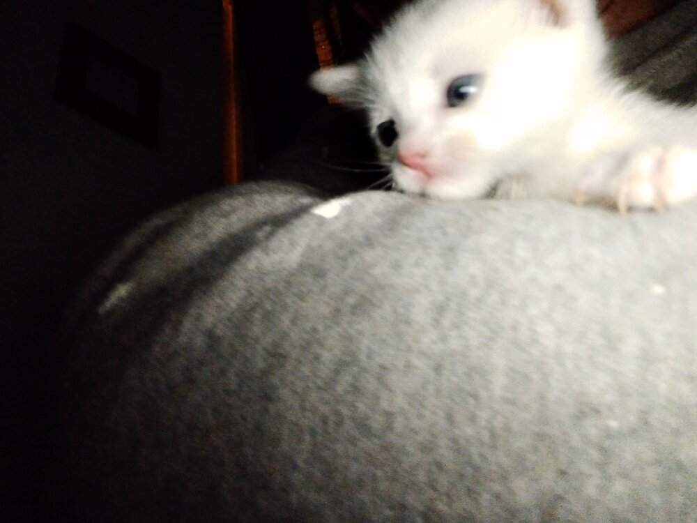 20210413_204853.jpg