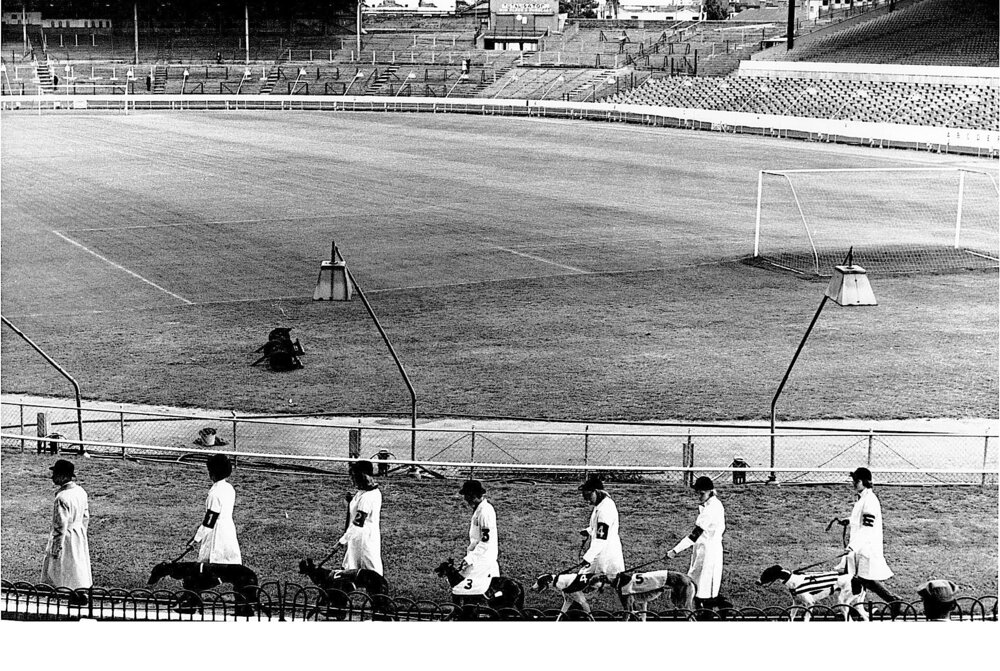 Stamford-Bridge-1.jpeg