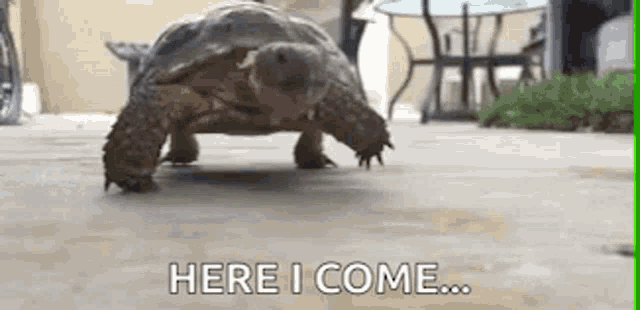 image.gif.add634c7b7899df2a6e2651068b51039.gif