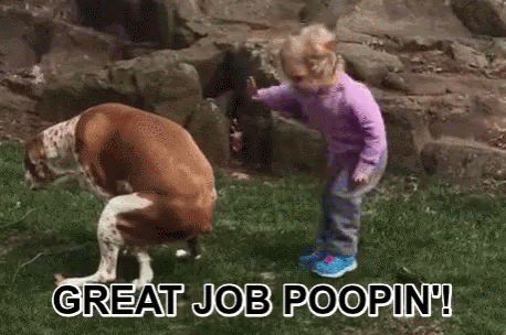image.gif.0b997f78b660d8d13cd4568099fa7d1d.gif