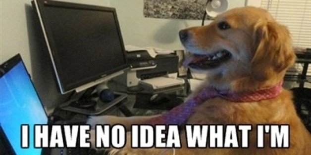 image.png.8597952ad6268313d56aeaf30f9d349b.png