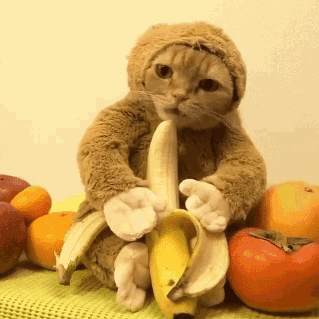 333686CE-D4CB-4015-8133-B92826D71547.gif.99aa68e056faaf70a137692408218f34.gif