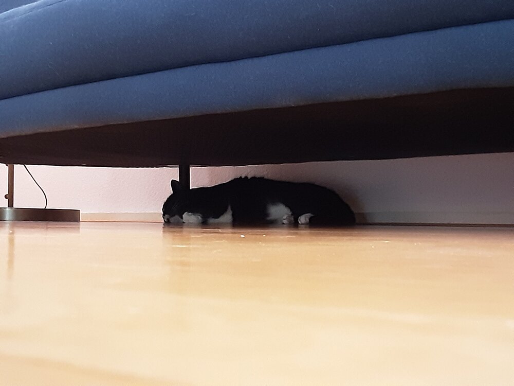 20220821_142127.jpg