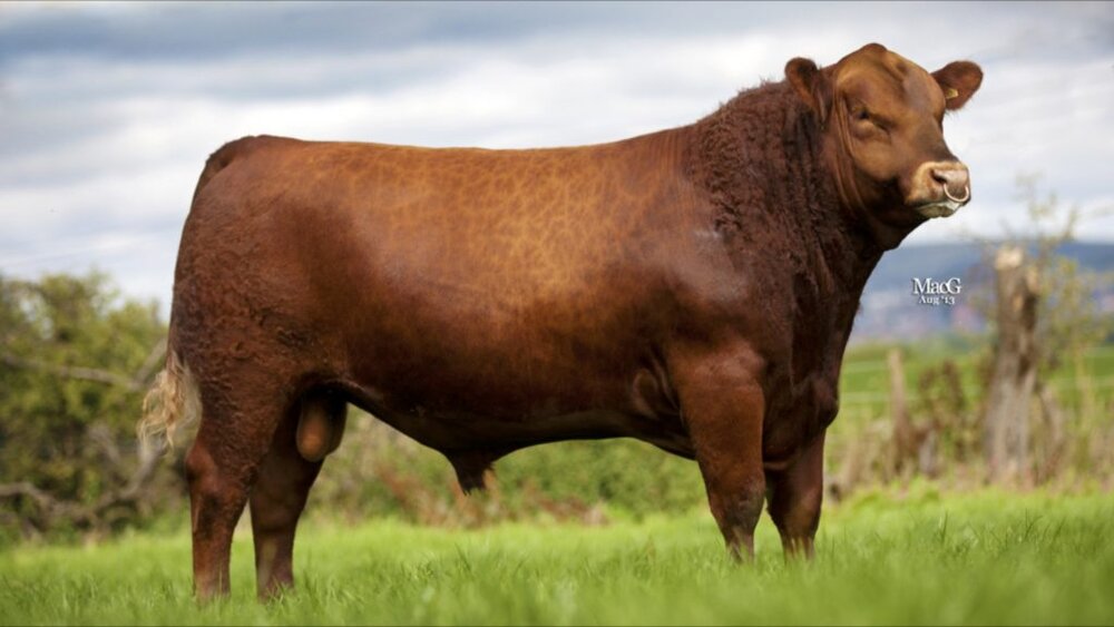 Erve-Woolderink-37-1024x577.jpg