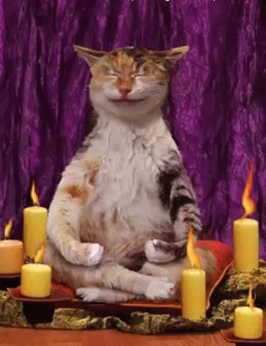 1410462802_-.gif.364cf9a441236e2a40d803ac16aa79d8.gif