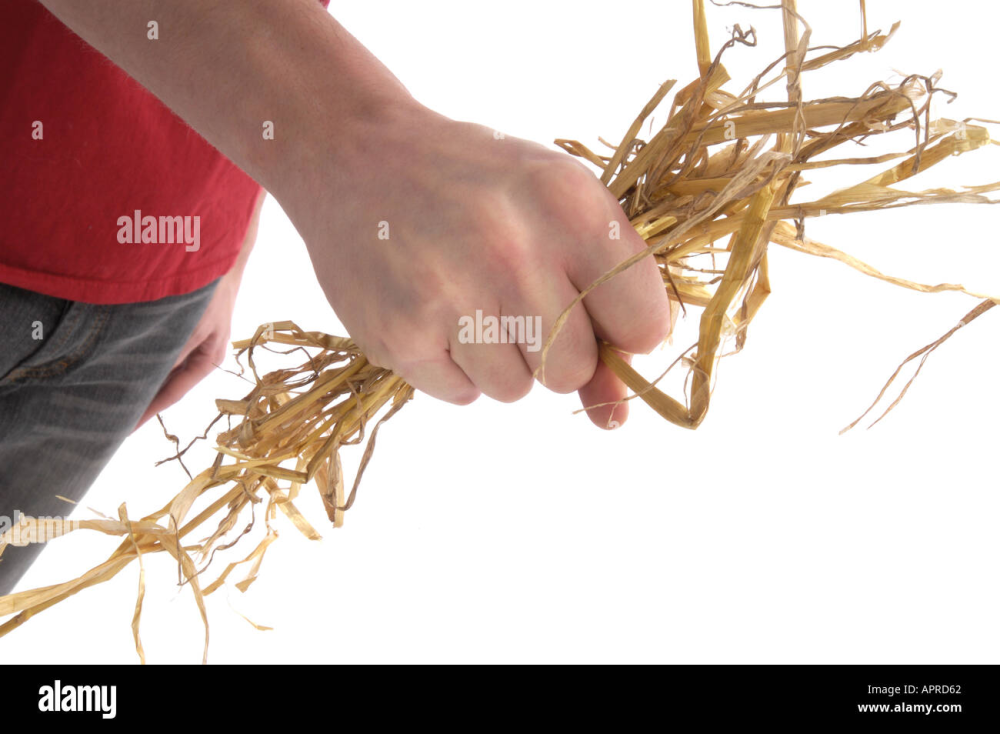 image.thumb.png.f83e206922d4bc4c9882a426df9c16fc.png