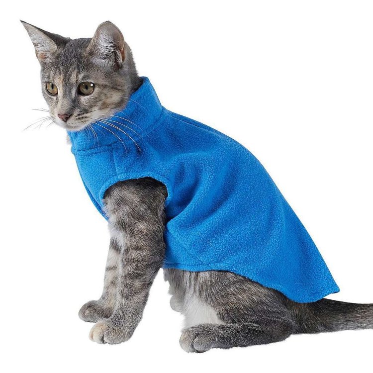 cattrainingsuit.jpeg