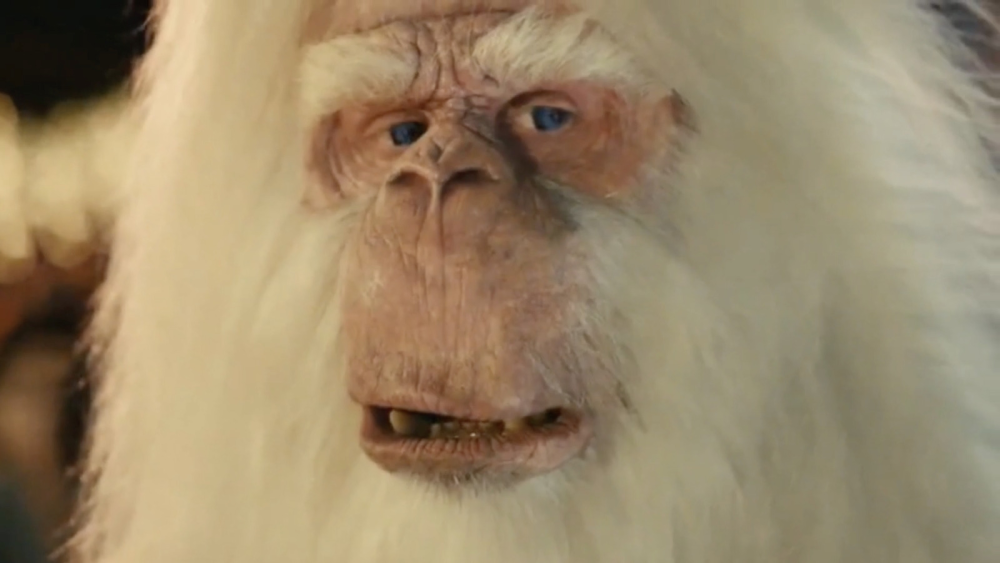 image.thumb.png.aa76d706e1120c627206a5efdb639a70.png