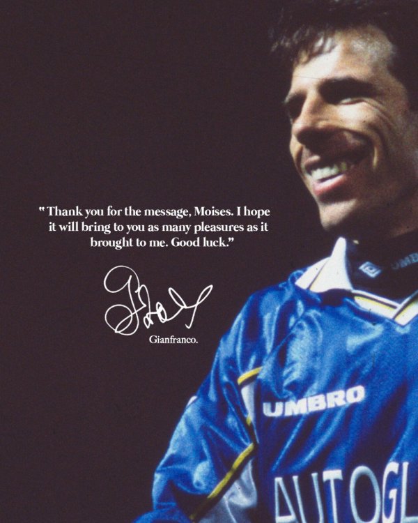 Zola_QT.thumb.jpg.b47178cae17002714053a211f2e82ac5.jpg