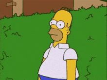 IMG_3261.gif.67a4d91b8e956aee0fb51dc541702faf.gif