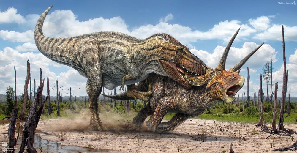 what-is-the-more-awe-inspiring-dino-fight-in-your-opinion-v0-c7wucusvr60c1.jpg