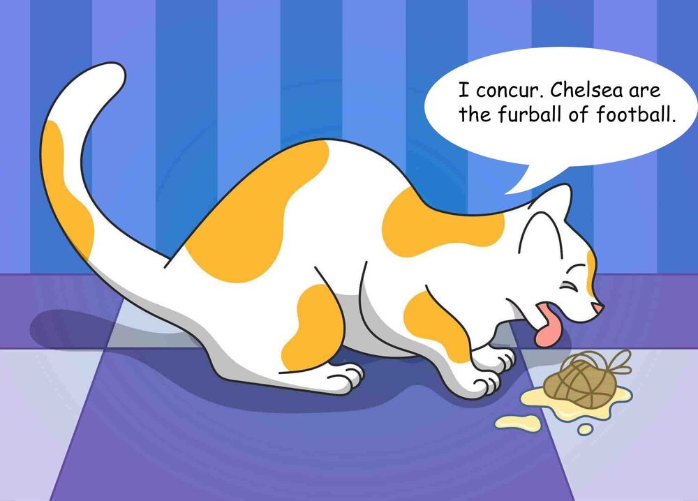 hairball2.jpg
