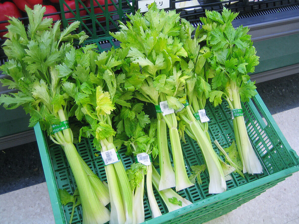 1200px-Celery_1.jpg