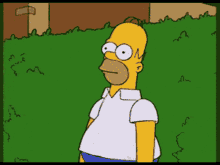 copyImage.gif