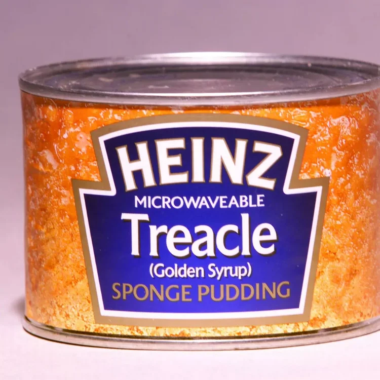 1_Food-Treacle-Sponge-Pudding.jpg.webp
