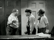 image.gif