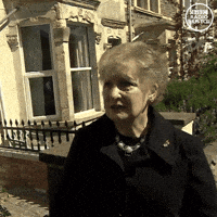 IMG_2188.gif