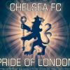chelcsteve
