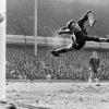 Bonetti is god
